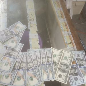 Meet your Posher, Joey